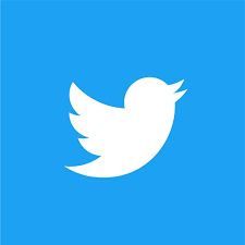 Twitter logo icon